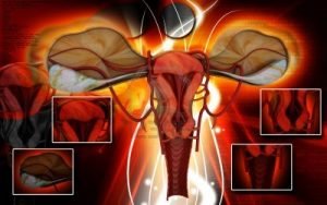 9149012-digital-illustration-of-uterus-in-colour-background