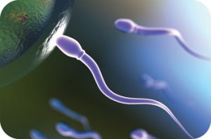 Andrology Laboratory – Genes fertility institute